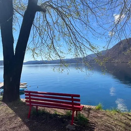 Wowies 贝特纳斯科