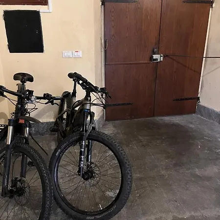 Wowies 3* 贝特纳斯科