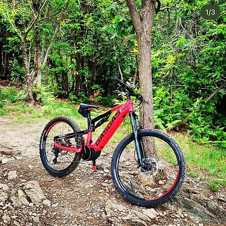 Wowies 3* 贝特纳斯科